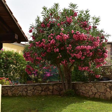 Splendida Villetta Tavolara 1 Vaccileddi Exteriör bild